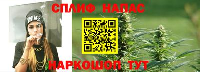 сатива Рязань