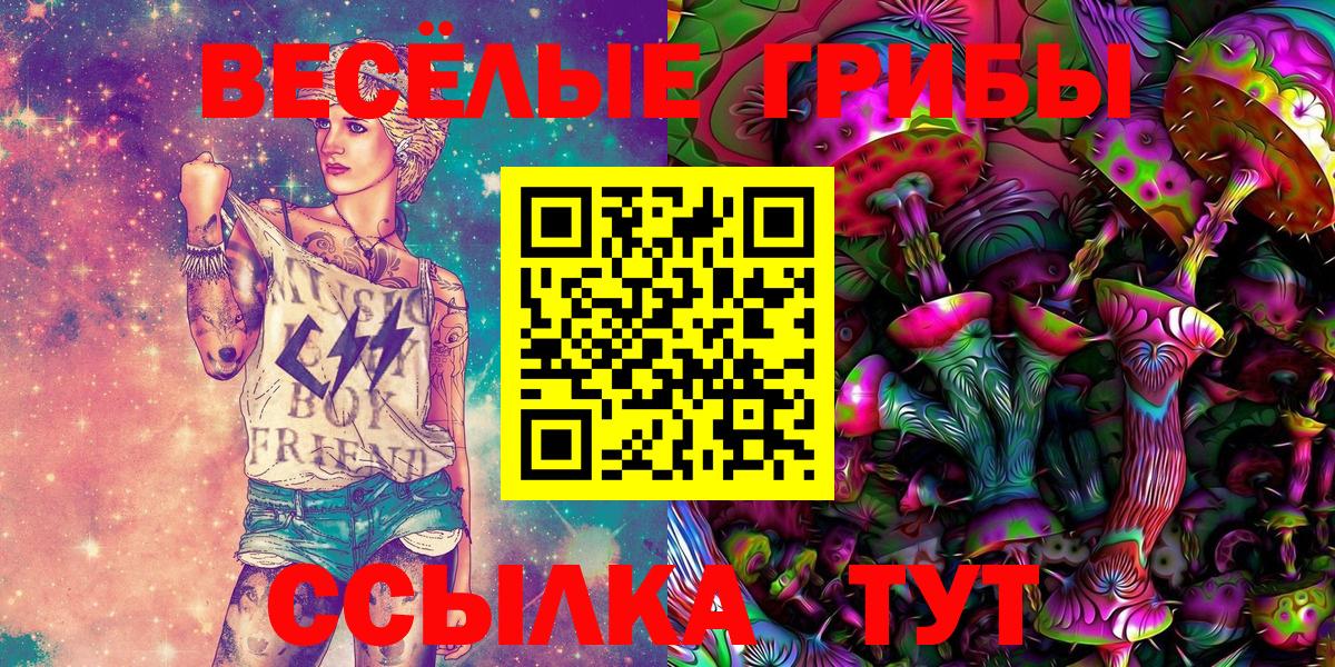 Свободный  Псилоцибиновые грибы прущие грибы  Вход с VPN 